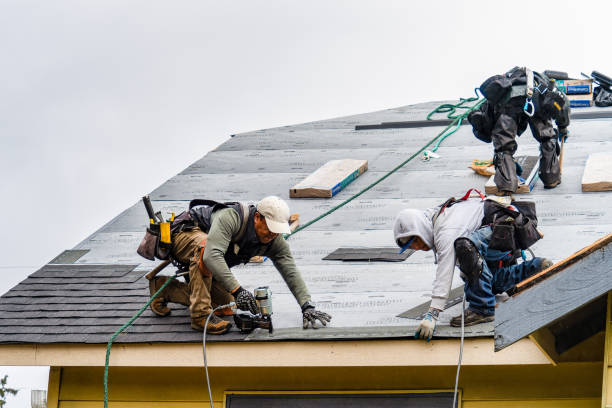 Professional Roofing technician working in Holley, FL